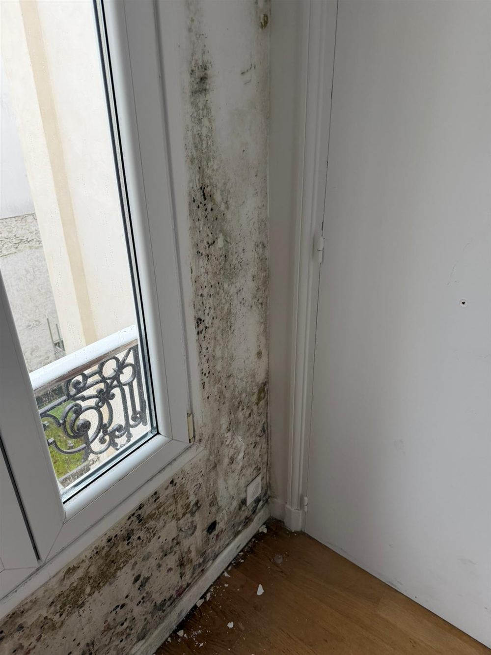 Moisissures dues à la condensation dans l'angle d'un mur près d'une fenêtre