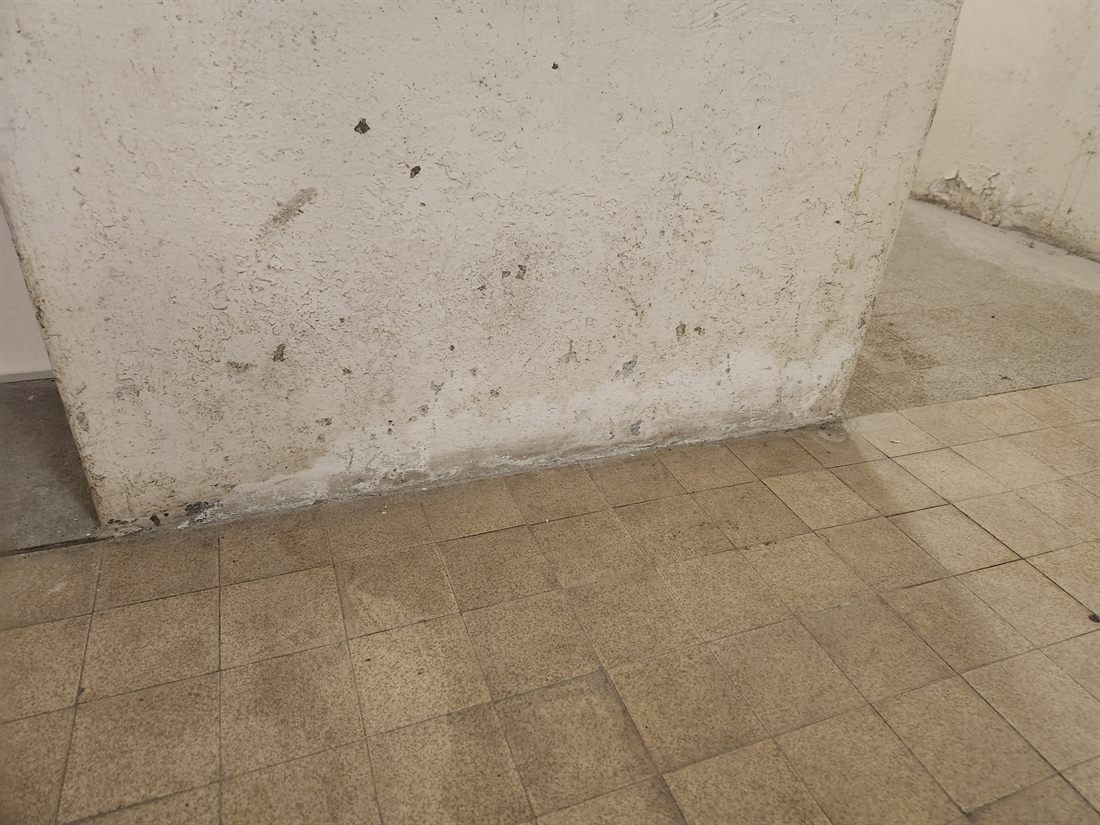 Mur ancien concerné par les remontées capillaires
